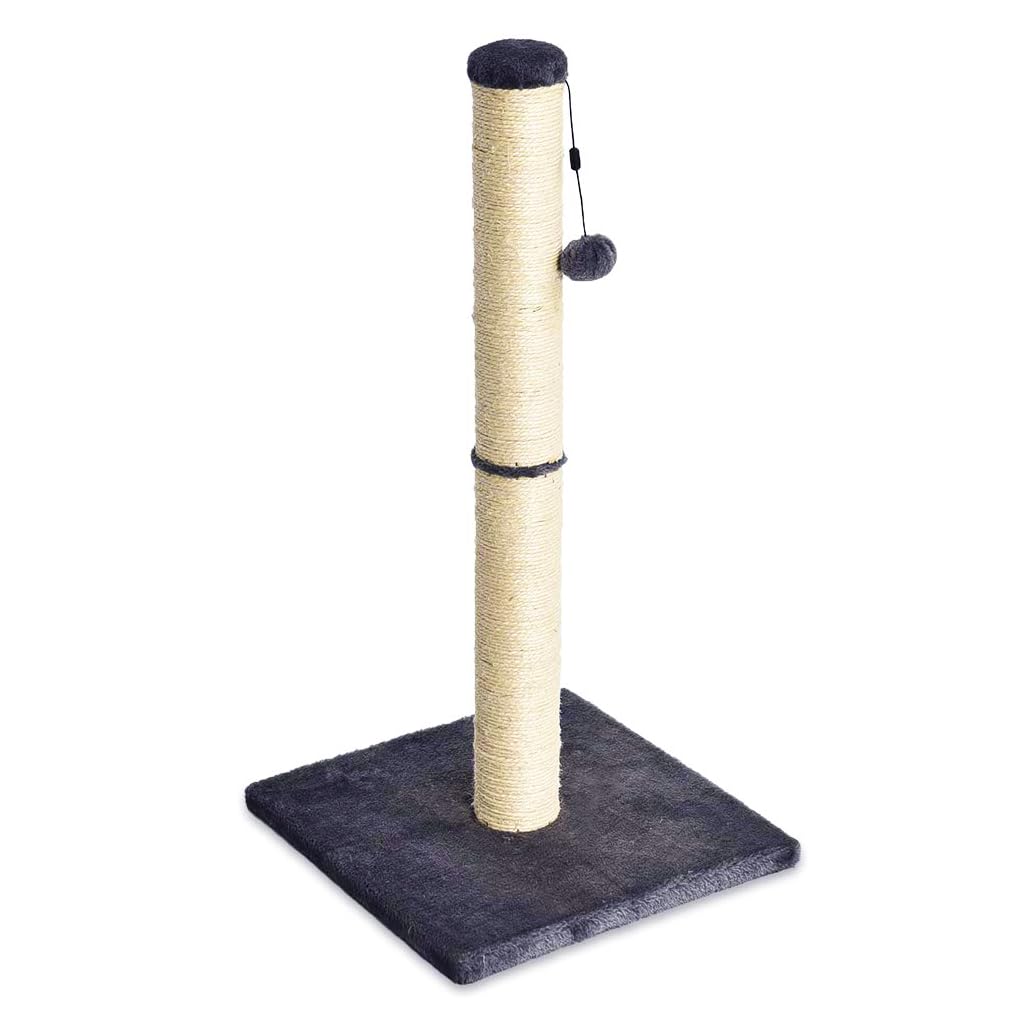 Amazon Basics Cat Scratching Post — original gift idea