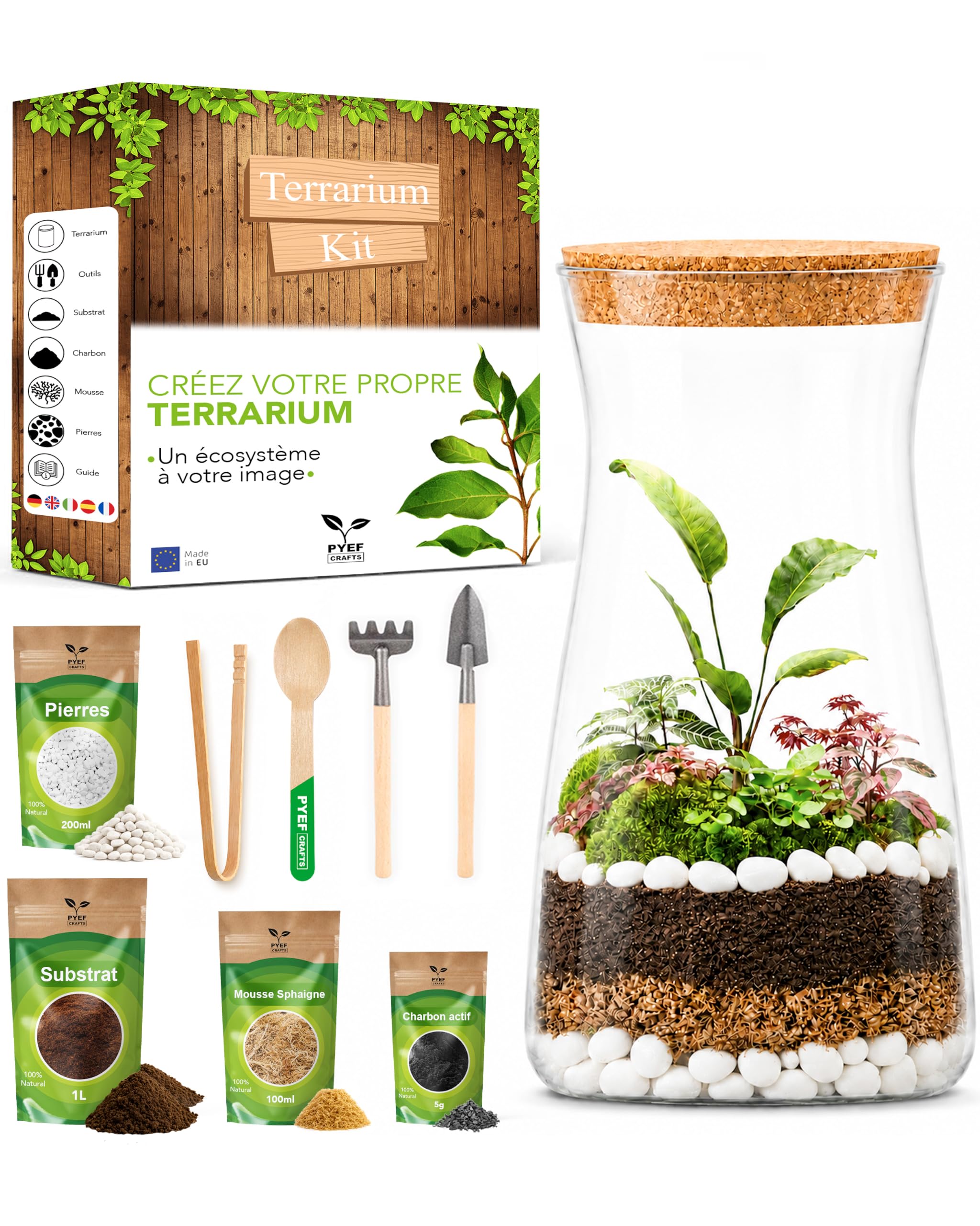 PYEF CRAFTS Terrarium Kit with Glass Jar — original gift idea