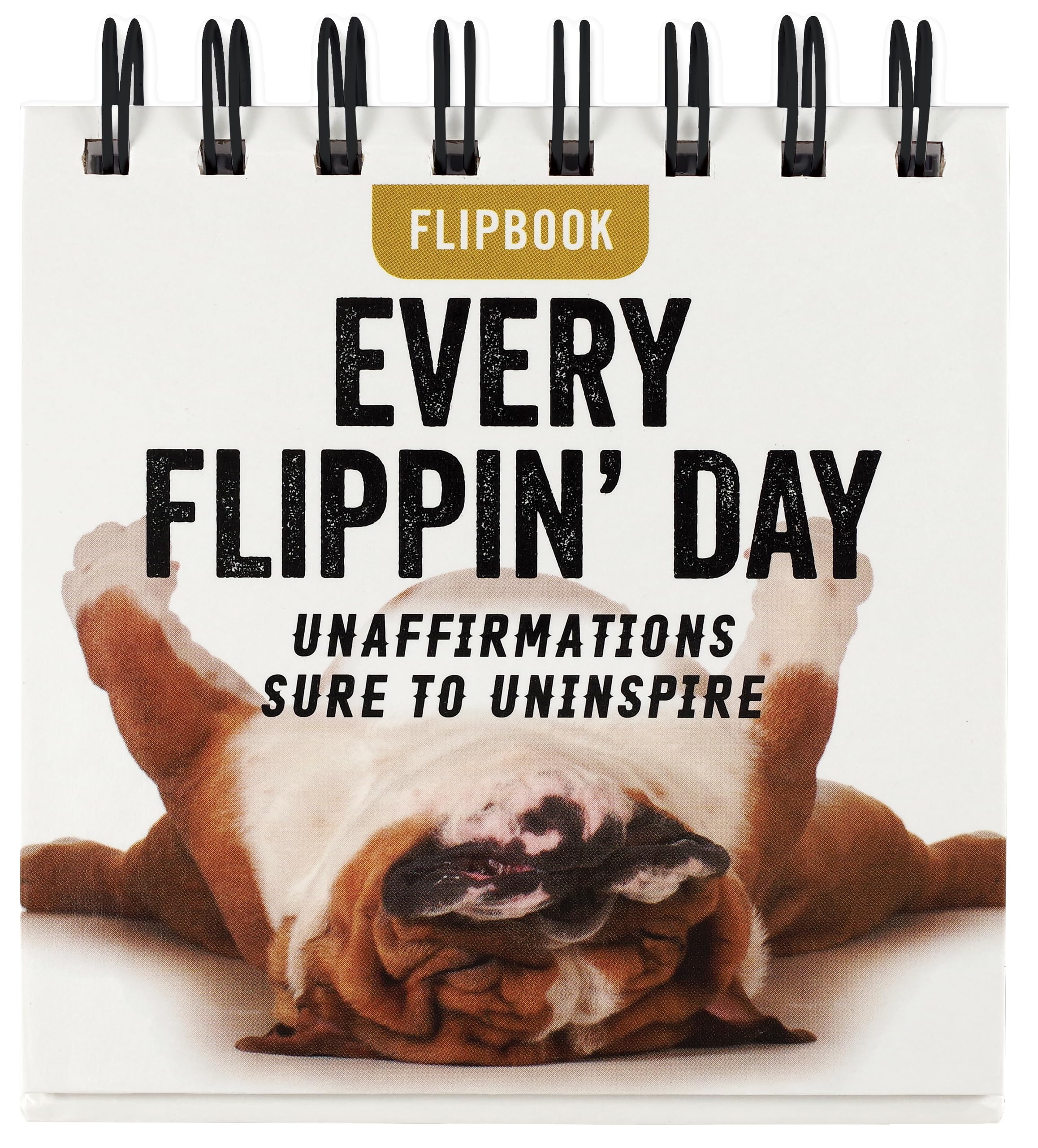 Every Flippin' Day Desktop Flipbook — original gift idea