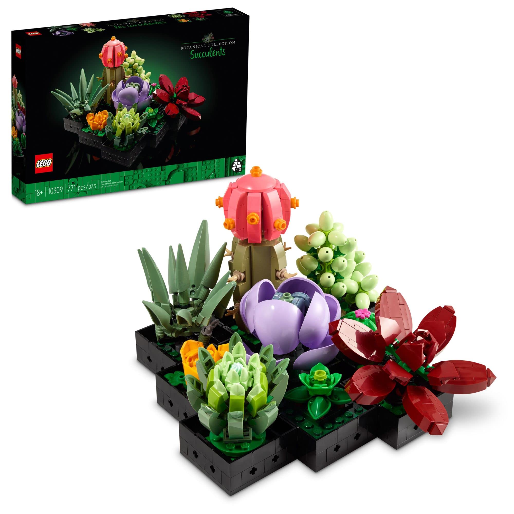LEGO Botanicals Succulents — original gift idea