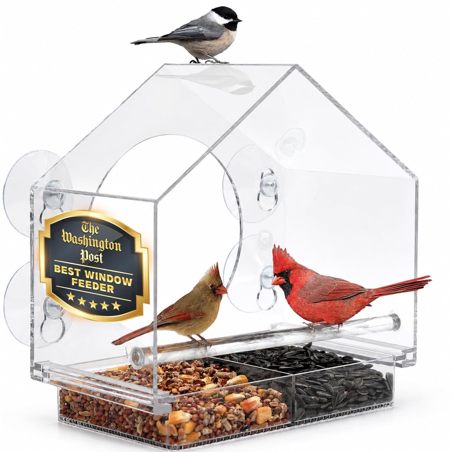Nature Anywhere Window Bird Feeder with Strong Suction Cups — original gift idea