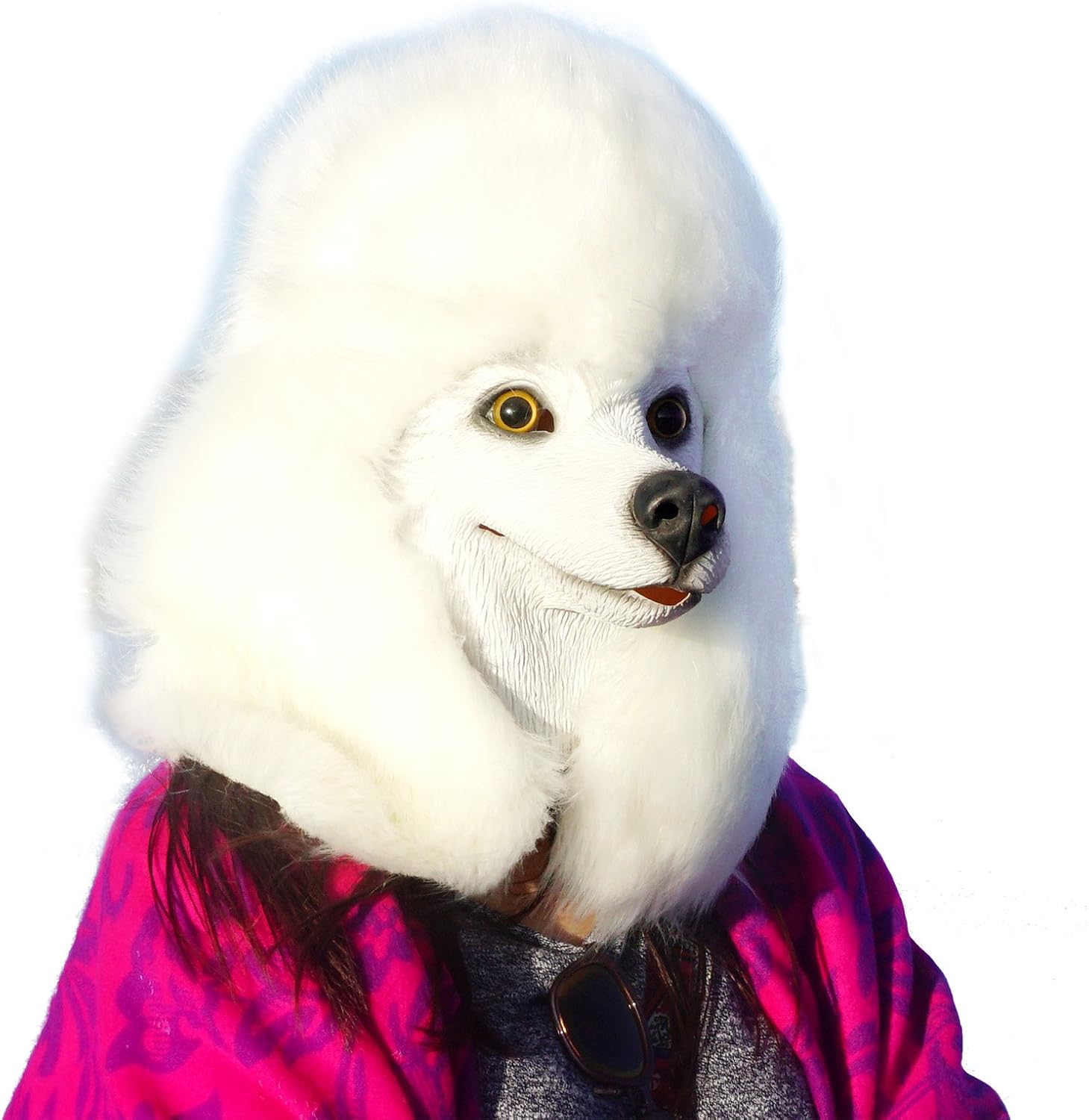 Le masque latex caniche blanc — cadeau drôle et insolite
