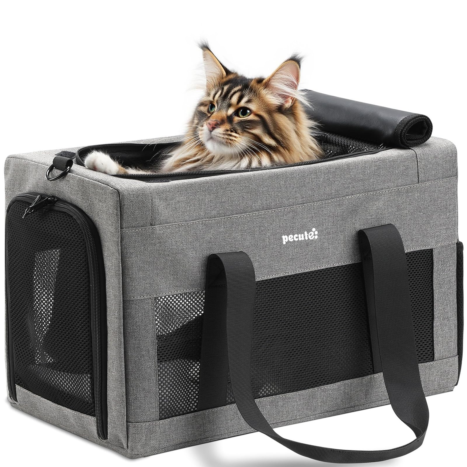 Sac de transport pour chat XL Pecute — idée cadeau original