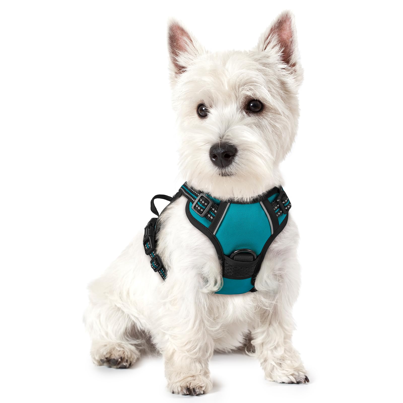 Harnais chien anti-traction rabbitgoo — idée cadeau original