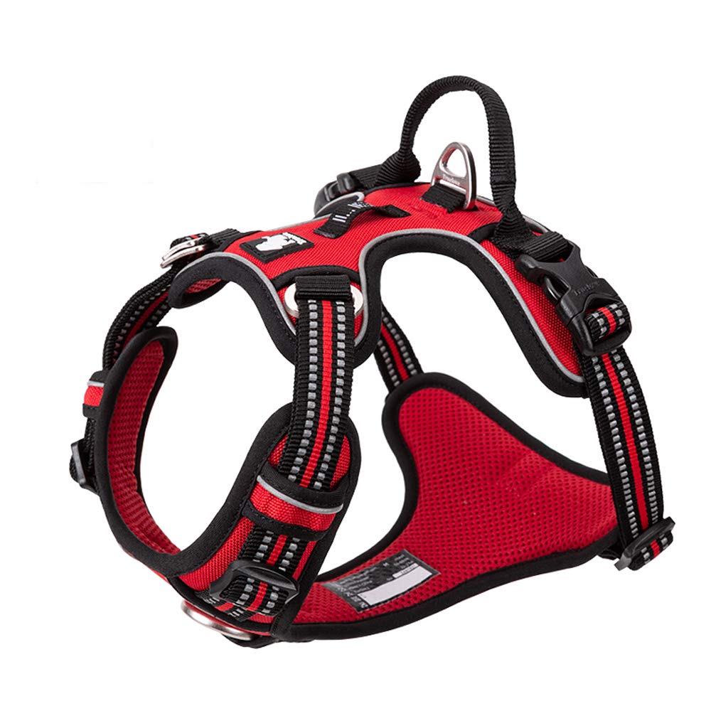 TRUE LOVE No-Pull Dog Harness — original gift idea